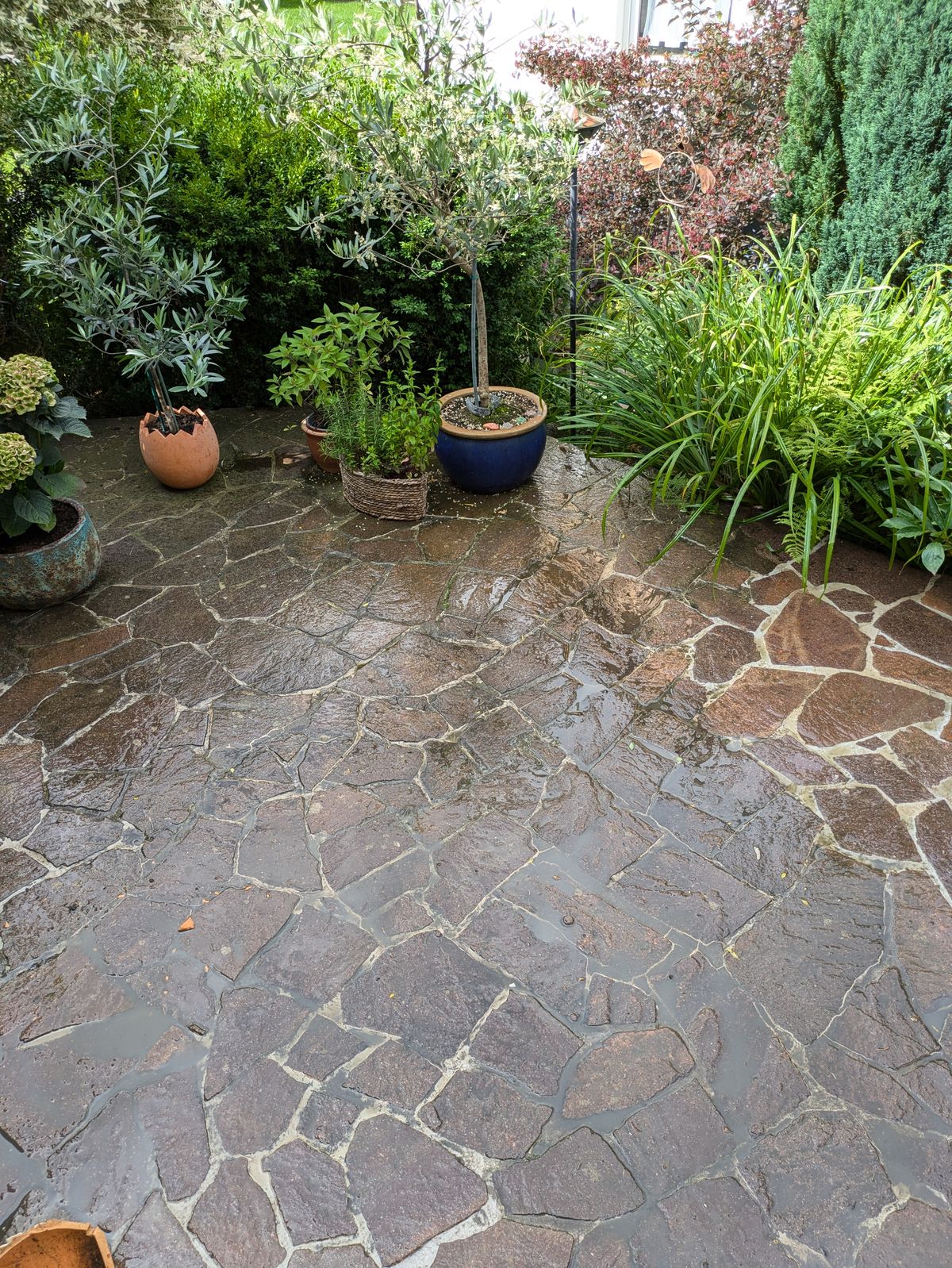 Garten 1 – Vorher