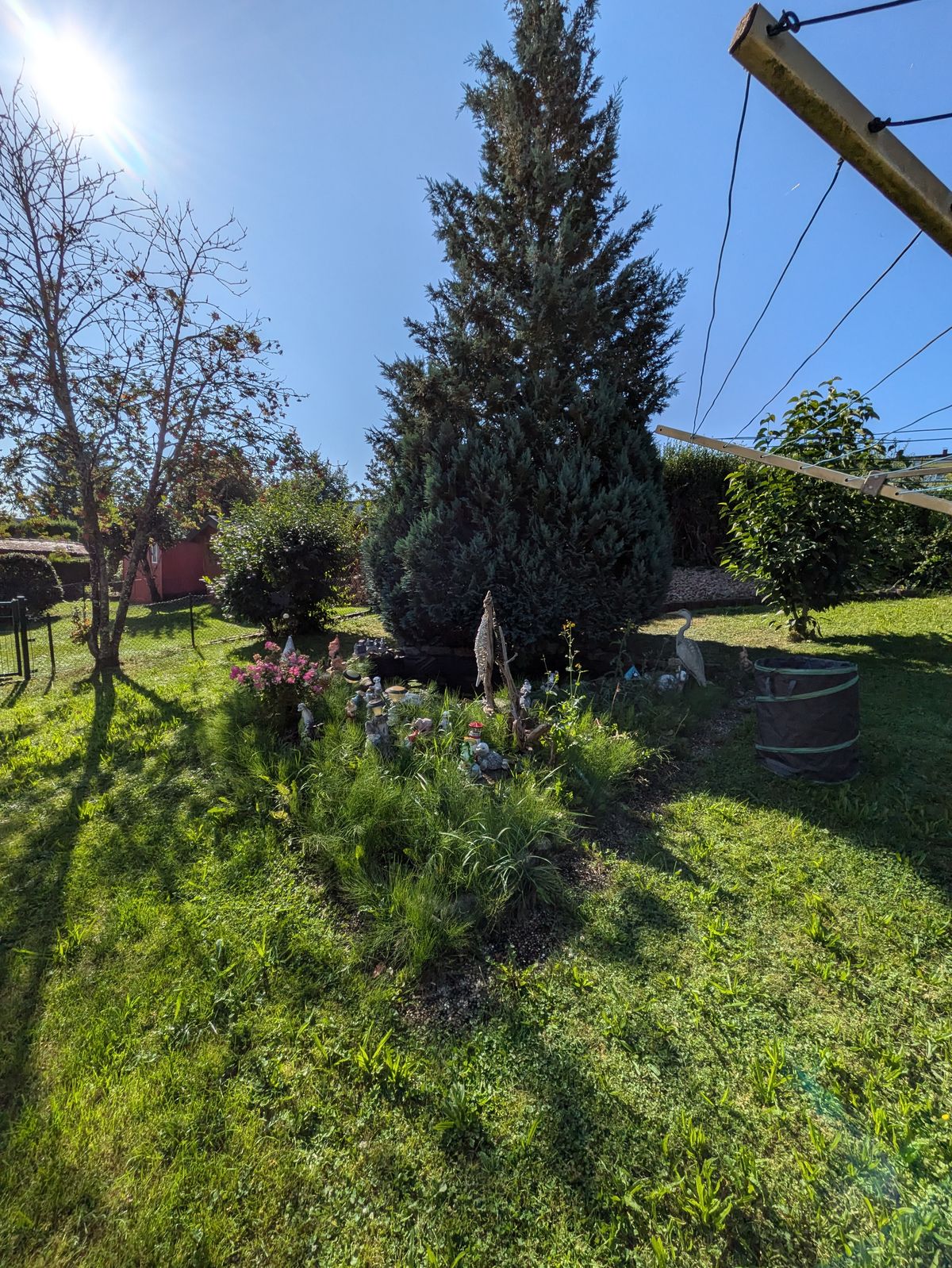 Garten 3 – Vorher